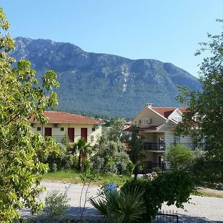 Apart Akasya