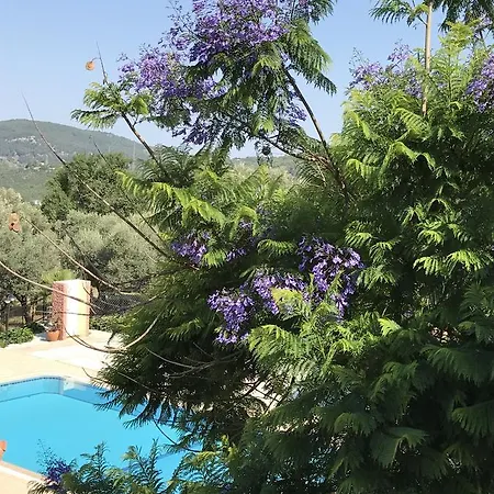 Aparthotel Apart Akasya Ölüdeniz